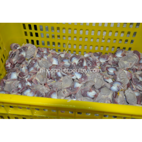 Poultry Gizzard Processing Machine